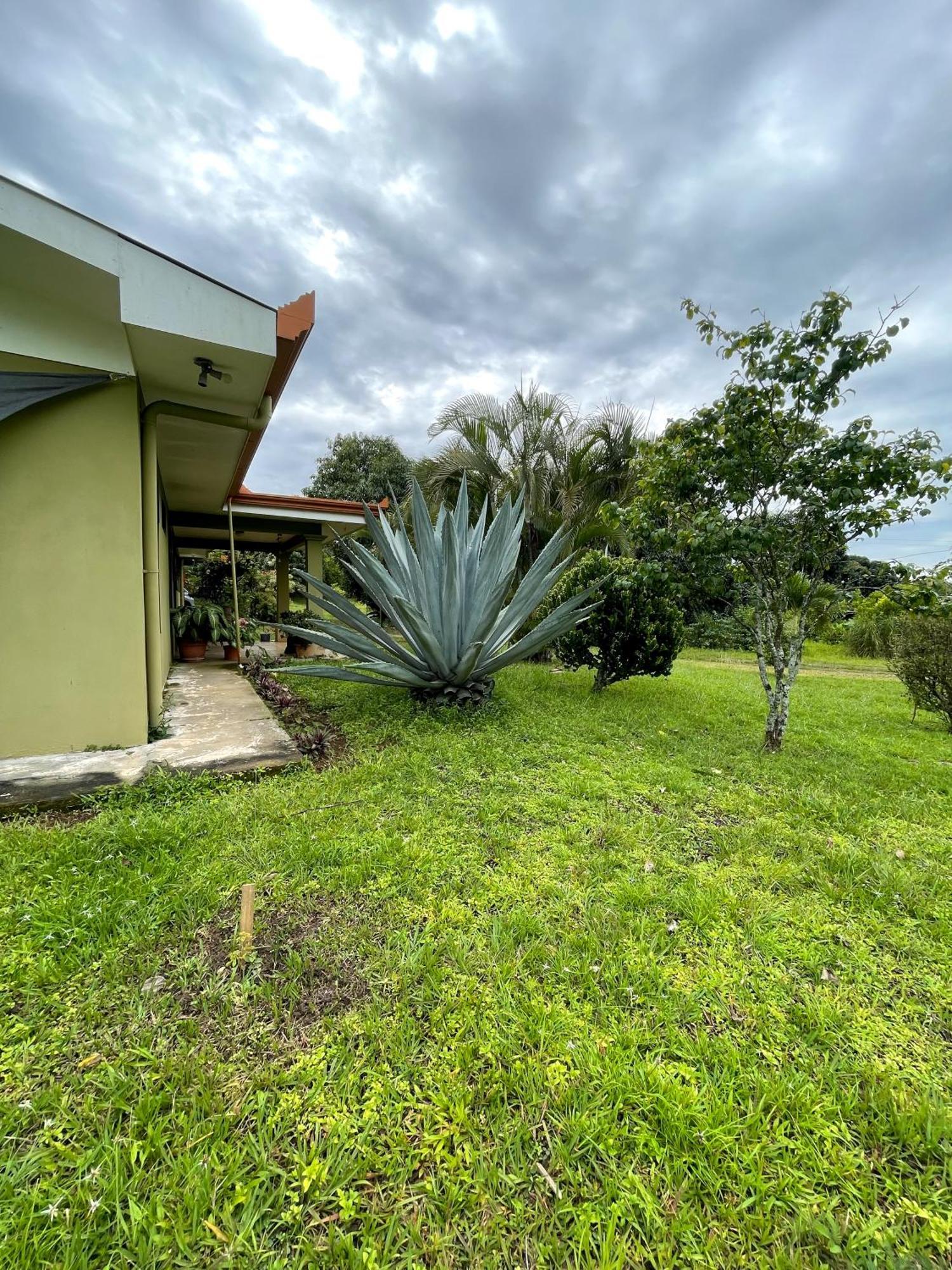 Caladium House In The Weather! Homestay Mercedes (Alajuela)
