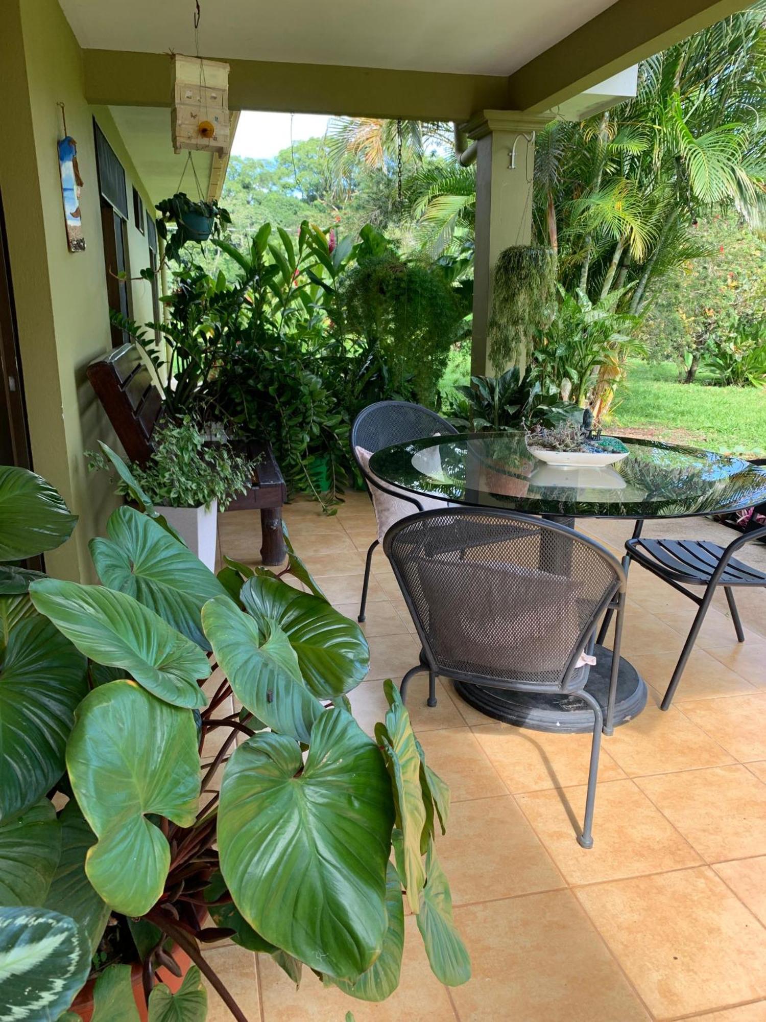 Caladium House In The Weather! Homestay *