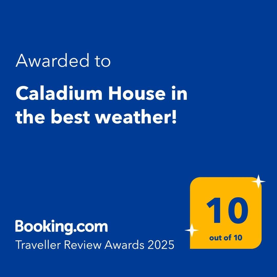 Caladium House In The Weather! Homestay *